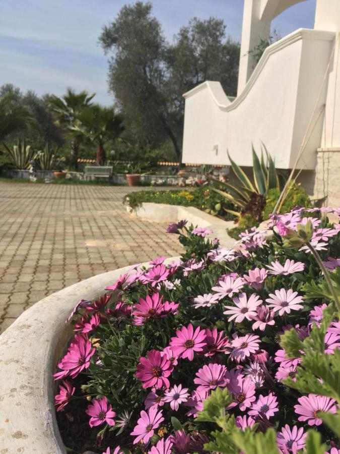 Villa Cristalda Vieste Bagian luar foto