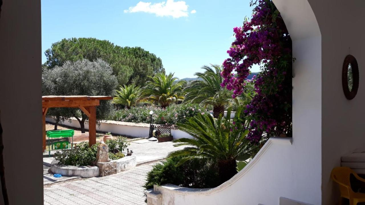 Villa Cristalda Vieste Bagian luar foto